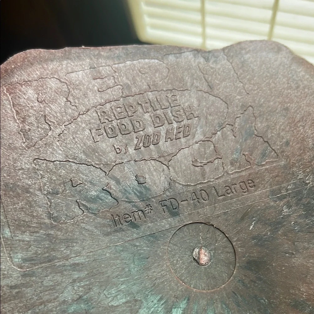 Reptile Habitat Rock Dish Large